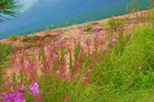 Перешеек полуострова Святой Нос